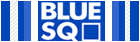 Click Here to Play at Blue Sqaure Poker